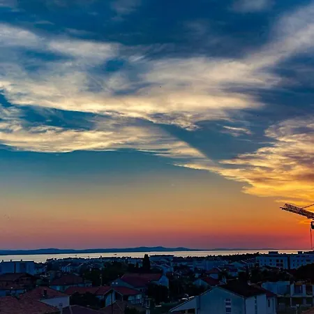 Seaview Roberta * Ζαντάρ