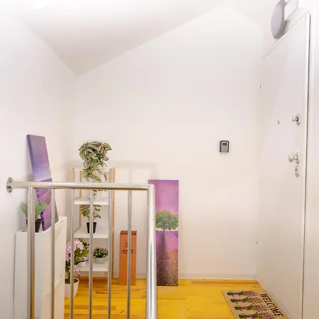 Apartment Seaview Roberta *